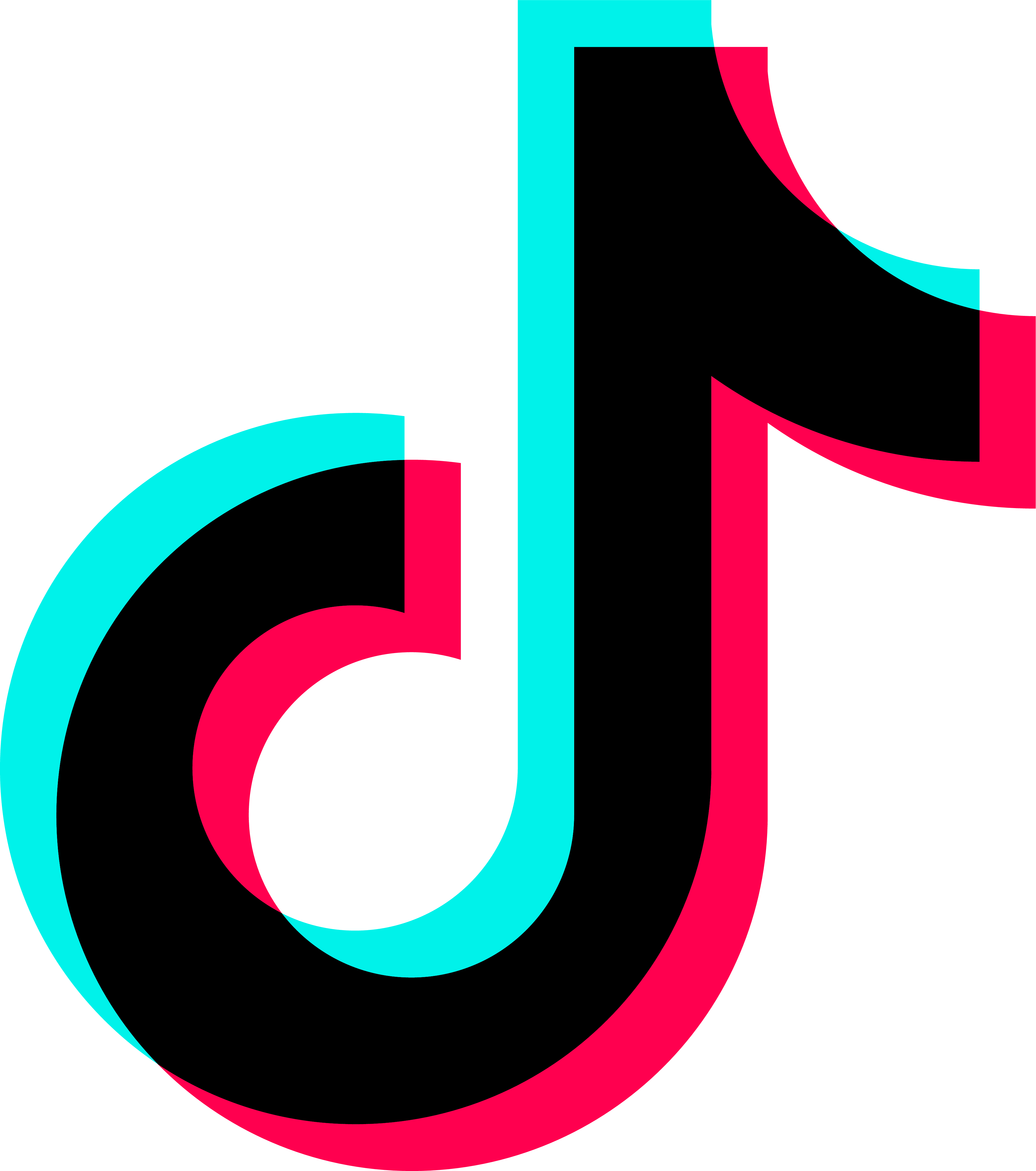 TikTok icon